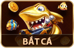 Bắt Cá